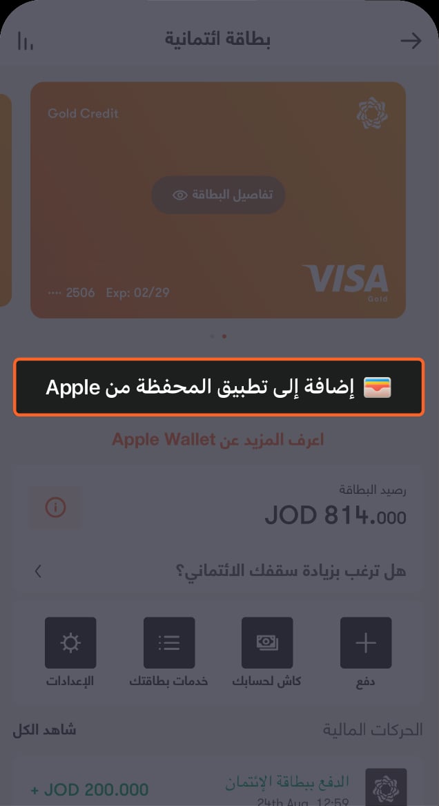 Revamp Screens - Apple Pay-11 Ar