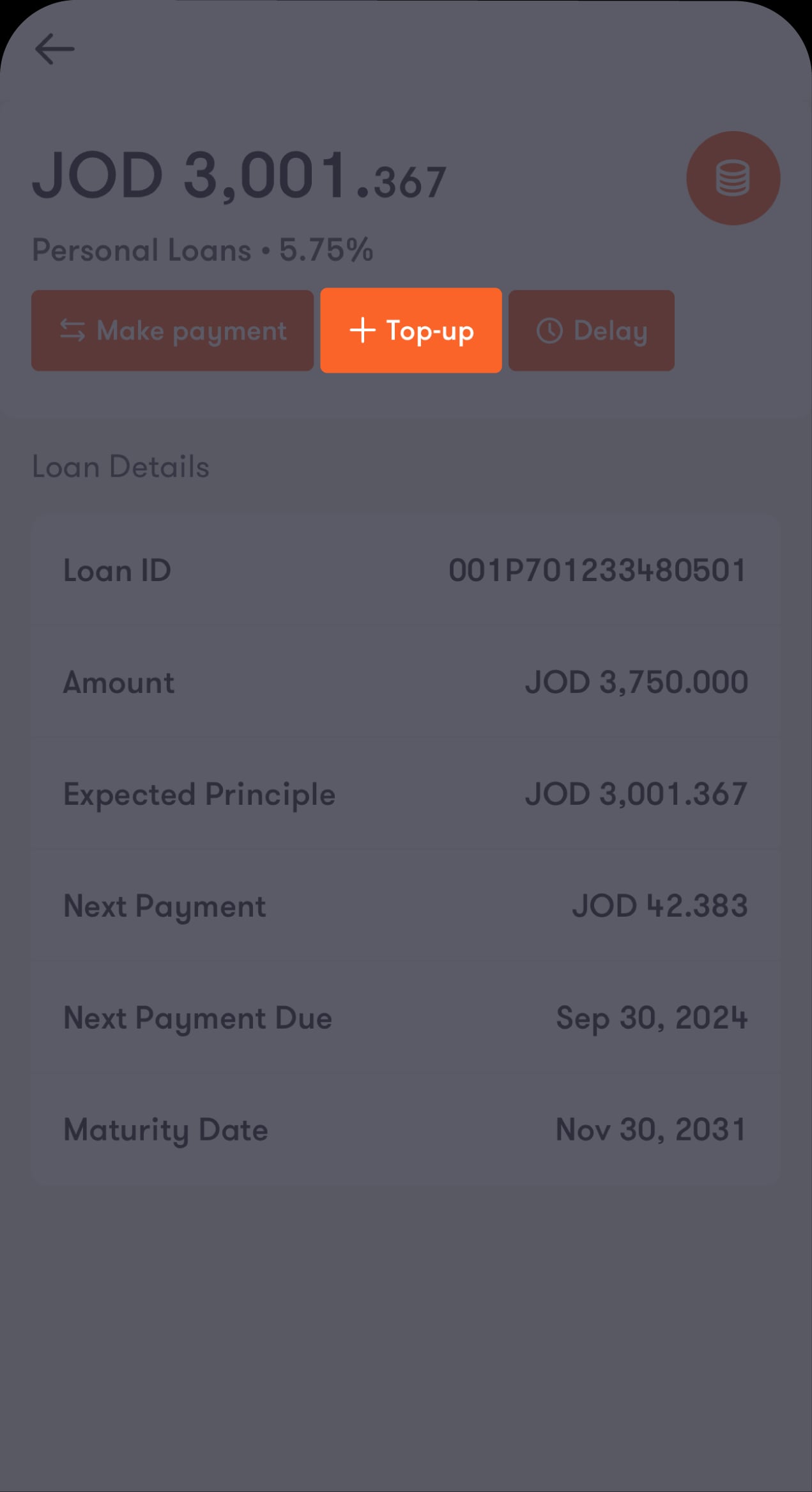 Loan Screens - 03 ENG