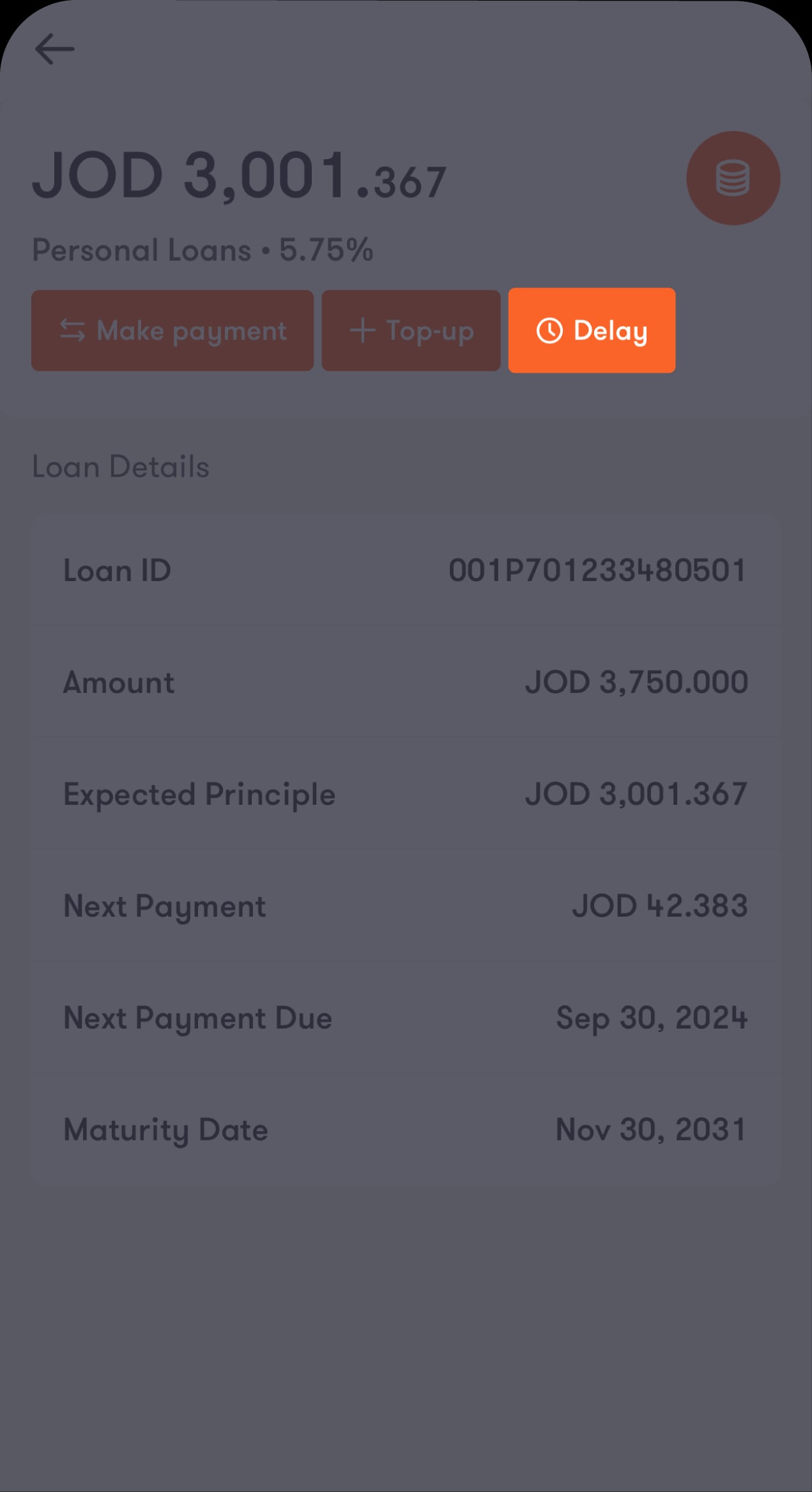 Loan Screens - 04 ENG
