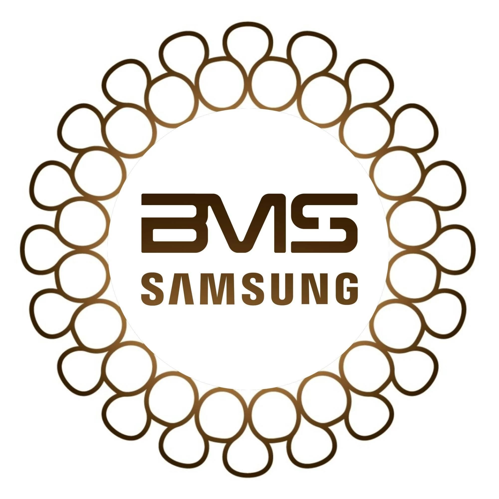Samsung BMS
