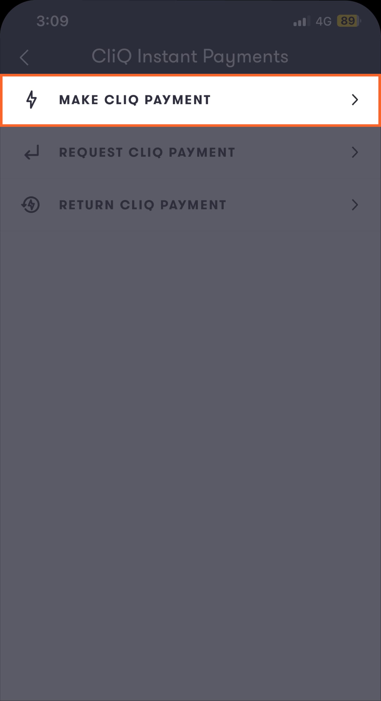 Make a Payment-06