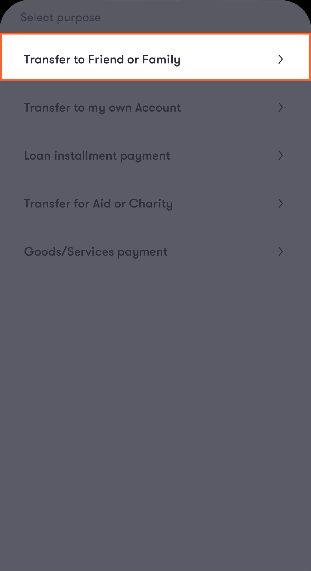 Make a Payment-16