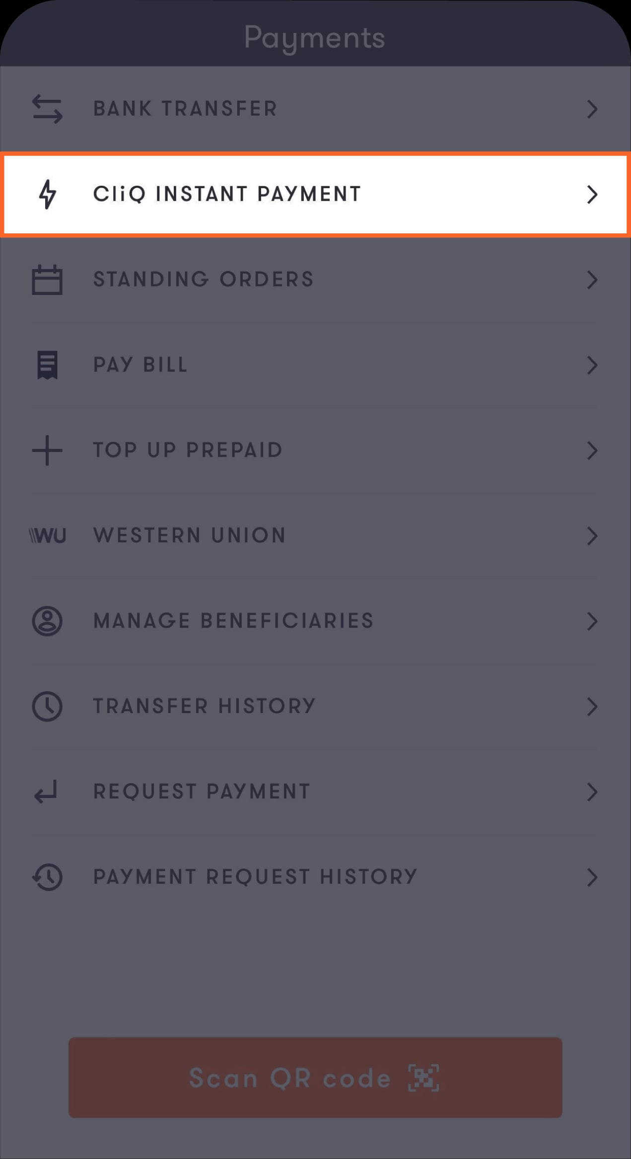Request a payment-02