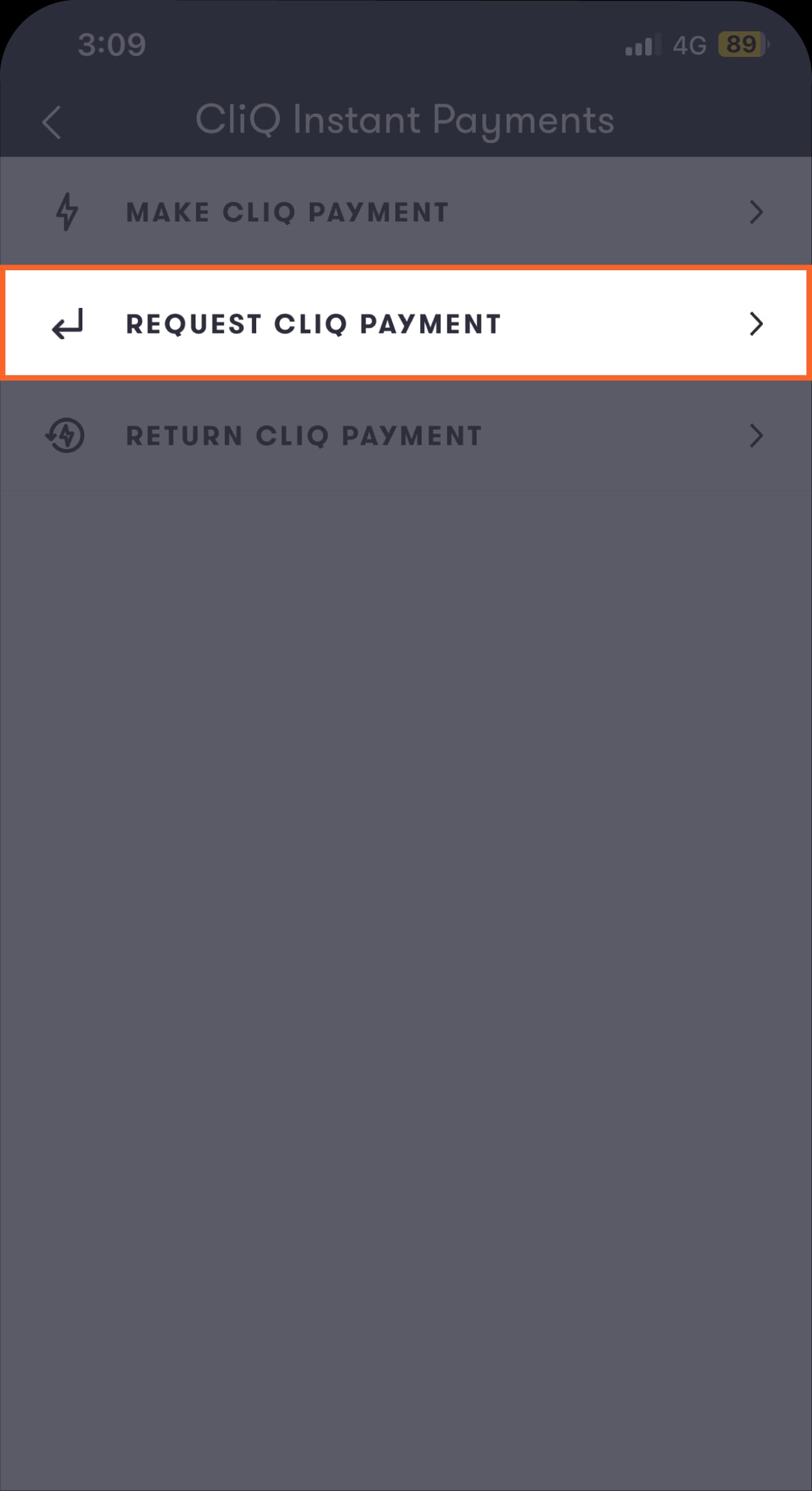 Request a payment-04