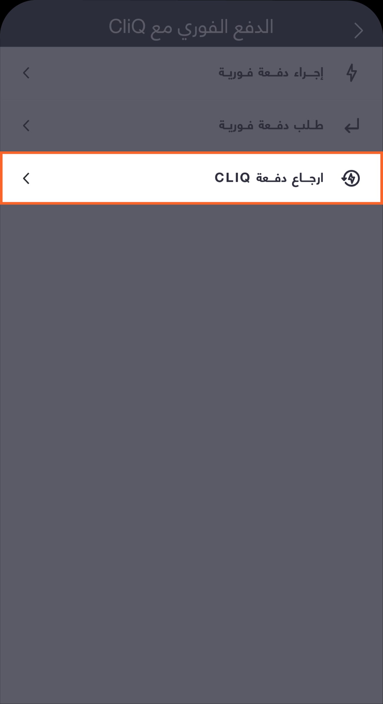 Return Cliq Payment-03