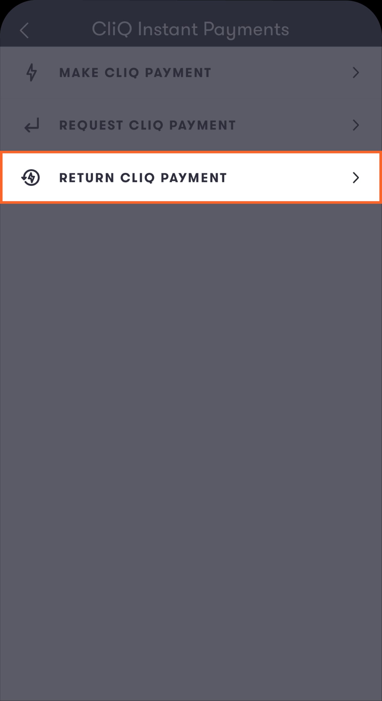 Return Cliq Payment-04