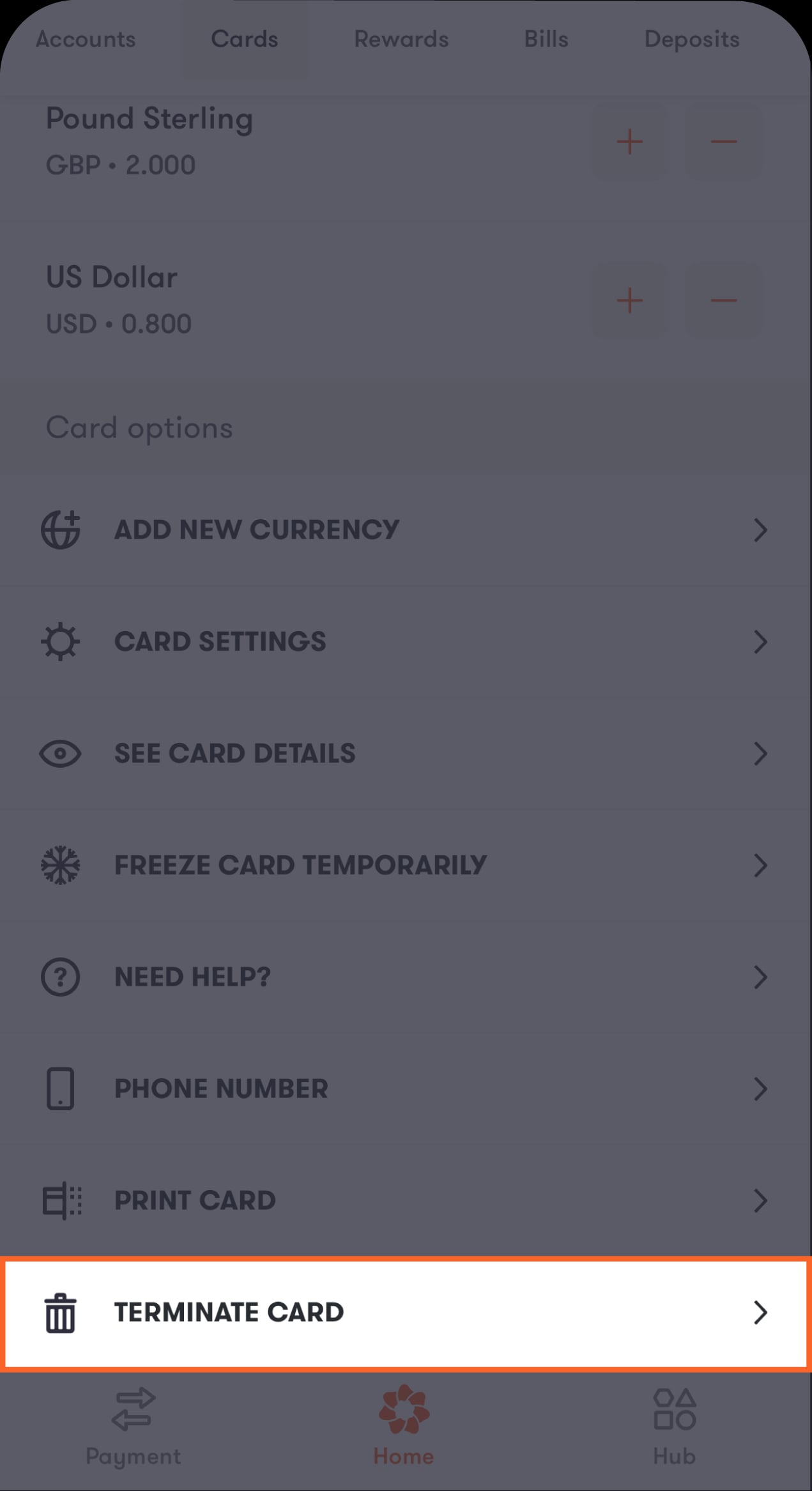 BaE - Multi currency print and terminate Screens-04